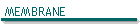 MEMBRANE