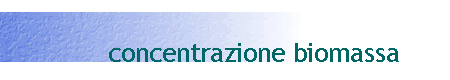 concentrazione biomassa