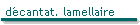 décantat. lamellaire