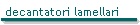 decantatori lamellari