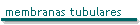 membranas tubulares