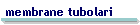 membrane tubolari