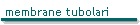 membrane tubolari