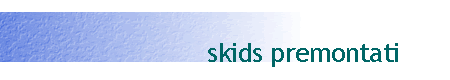 skids premontati