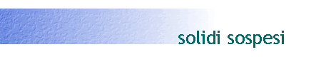 solidi sospesi