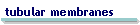 tubular membranes