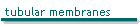 tubular membranes