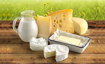 Link to DAIRY INDUSTRY