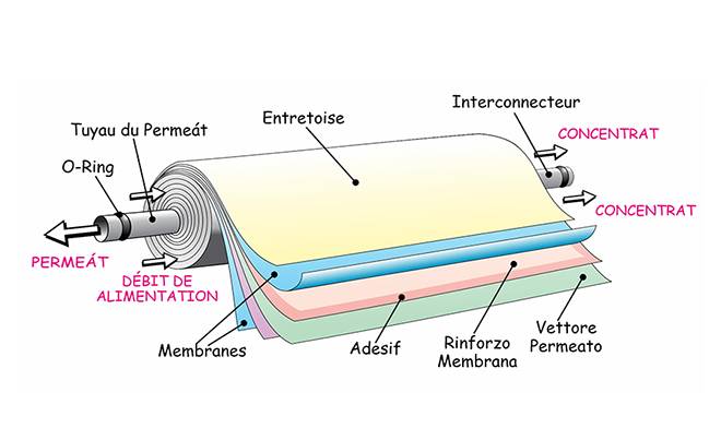 Schéma explicatif de la membrane spiralée